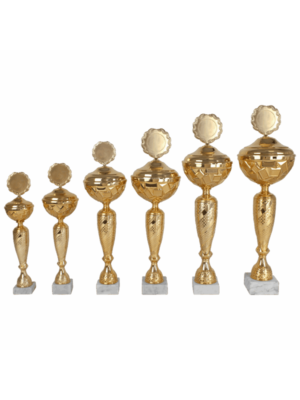 Beker AK 5082 | Sportprijzen Vught