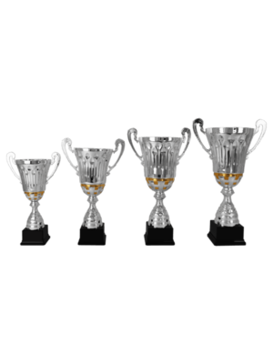 Beker AK 5093 | Sportprijzen Vught