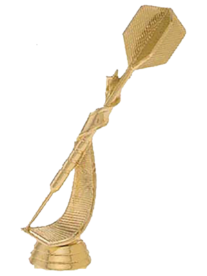 Dart | Sportprijzen Vught